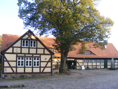 Bild der Bibiliothek „Stadtbibliothek Storkow“